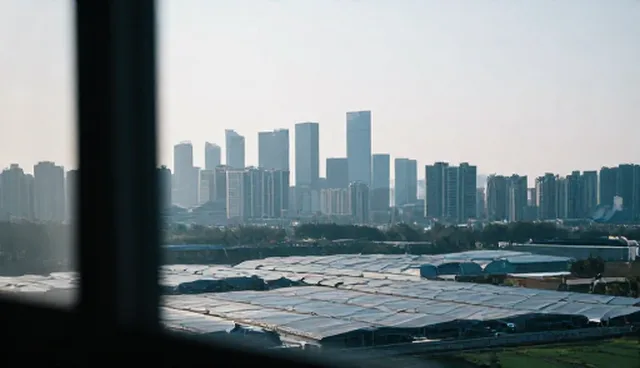 小程序制作开发,如何通过展示提升本地市场竞争力